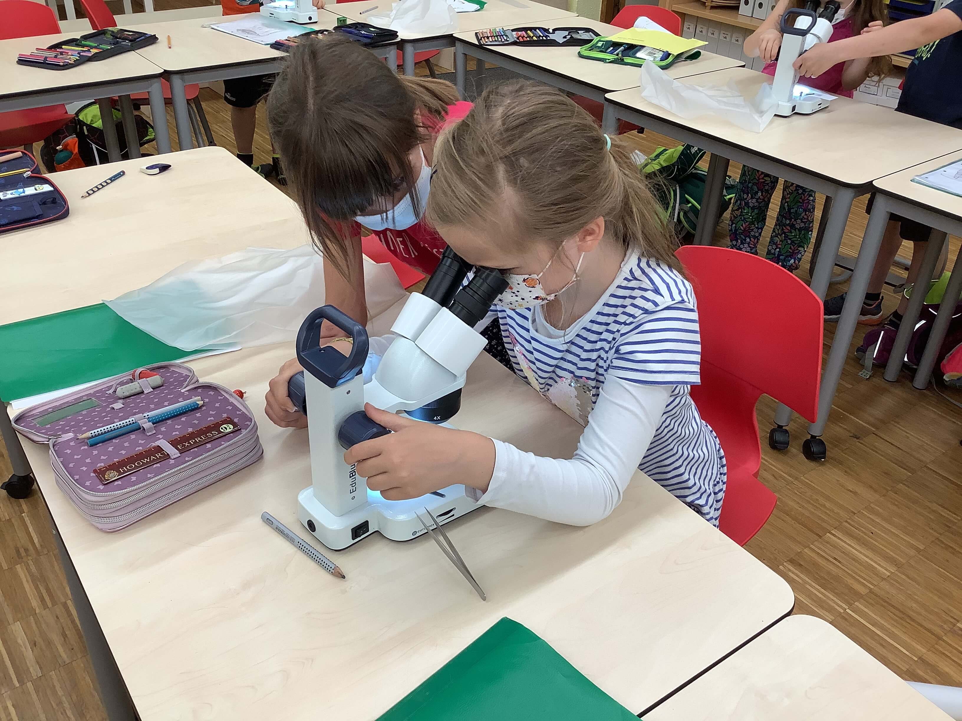 🔬 이와쿠니시 미소생물관(이와쿠니시 미쿠로 세이부츠칸) 이미지 7